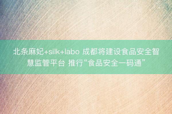 北条麻妃+silk+labo 成都将建设食品安全智慧监管平台 推行“食品安全一码通”