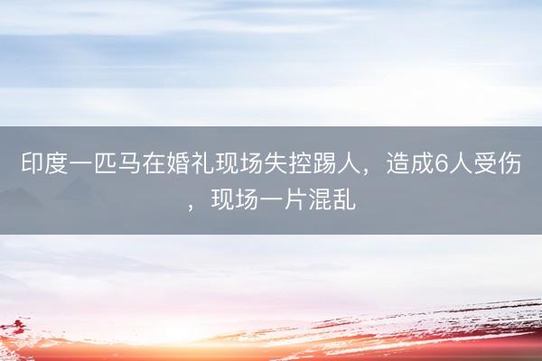 印度一匹马在婚礼现场失控踢人，造成6人受伤，现场一片混乱
