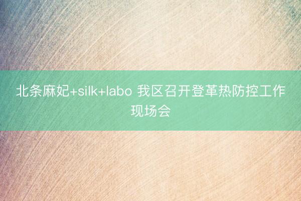北条麻妃+silk+labo 我区召开登革热防控工作现场会