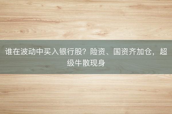谁在波动中买入银行股？险资、国资齐加仓，超级牛散现身