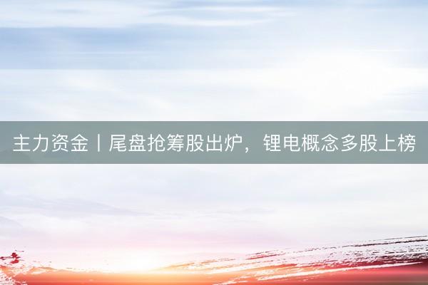 主力资金丨尾盘抢筹股出炉，锂电概念多股上榜