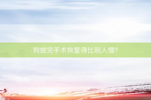 狗做完手术恢复得比别人慢？