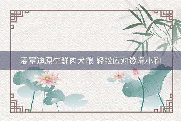 麦富迪原生鲜肉犬粮 轻松应对馋嘴小狗