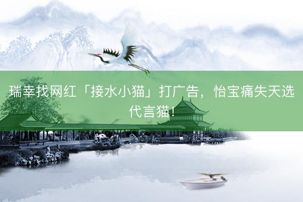 瑞幸找网红「接水小猫」打广告，怡宝痛失天选代言猫！