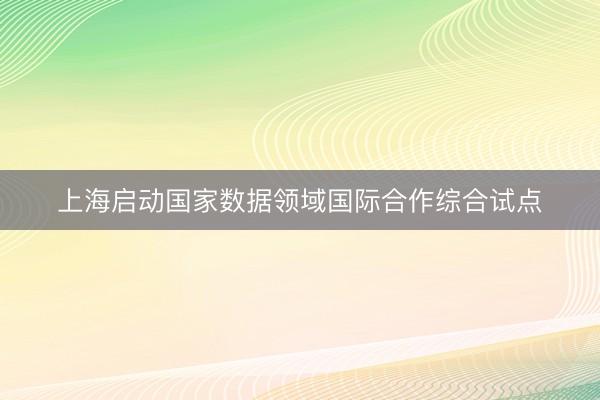 上海启动国家数据领域国际合作综合试点