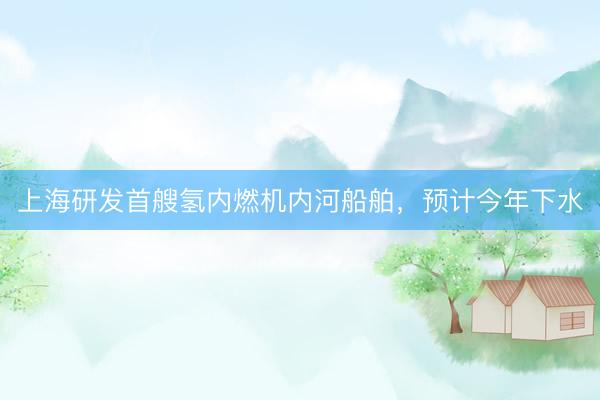 上海研发首艘氢内燃机内河船舶，预计今年下水