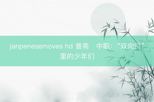 janpenesemoves hd 普高⇄中职：“双向门”里的少年们