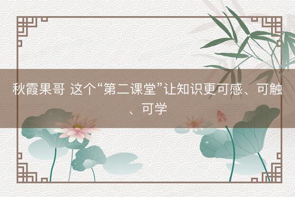 秋霞果哥 这个“第二课堂”让知识更可感、可触、可学