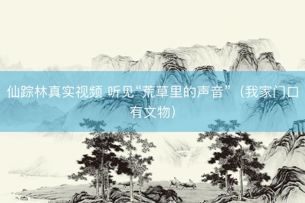 仙踪林真实视频 听见“荒草里的声音”（我家门口有文物）
