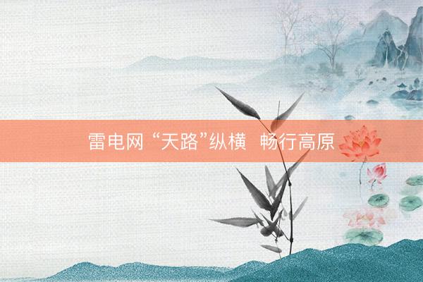 雷电网 “天路”纵横  畅行高原