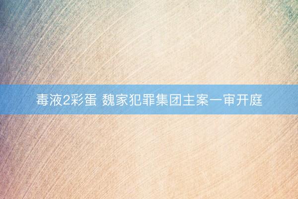 毒液2彩蛋 魏家犯罪集团主案一审开庭