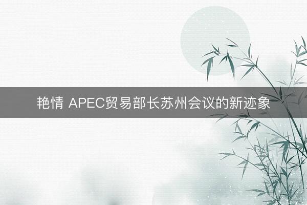 艳情 APEC贸易部长苏州会议的新迹象
