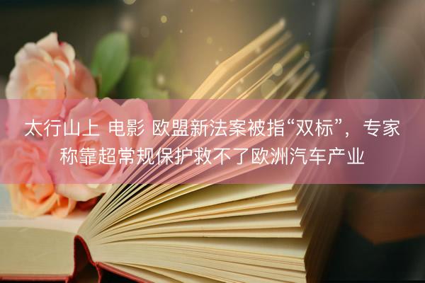 太行山上 电影 欧盟新法案被指“双标”，专家称靠超常规保护救不了欧洲汽车产业
