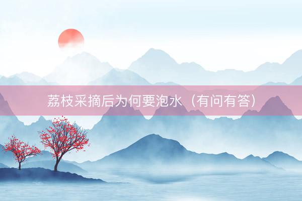 荔枝采摘后为何要泡水（有问有答）
