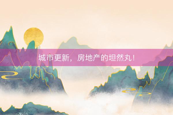 城市更新，房地产的坦然丸！