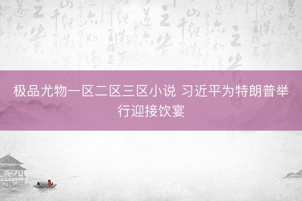 极品尤物一区二区三区小说 习近平为特朗普举行迎接饮宴
