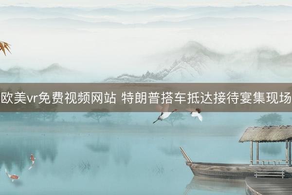 欧美vr免费视频网站 特朗普搭车抵达接待宴集现场