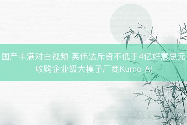 国产丰满对白视频 英伟达斥资不低于4亿好意思元收购企业级大模子厂商Kumo AI