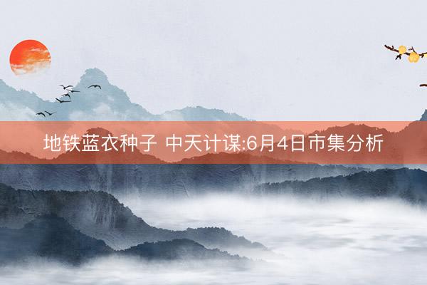 地铁蓝衣种子 中天计谋:6月4日市集分析