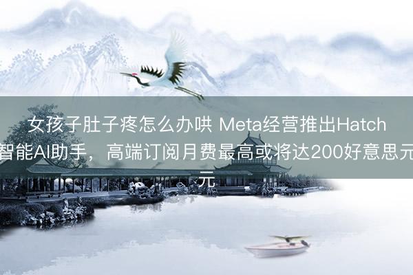 女孩子肚子疼怎么办哄 Meta经营推出Hatch智能AI助手，高端订阅月费最高或将达200好意思元