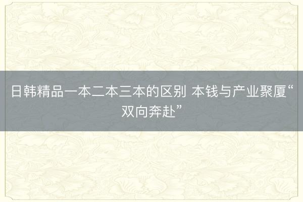 日韩精品一本二本三本的区别 本钱与产业聚厦“双向奔赴”