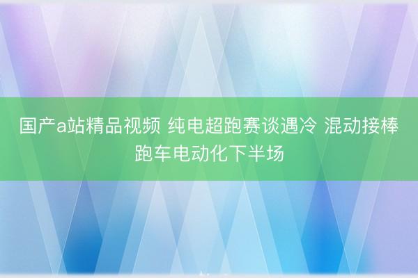国产a站精品视频 纯电超跑赛谈遇冷 混动接棒跑车电动化下半场