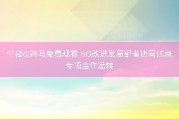 午夜dj神马免费观看 6G改进发展部省协同试点专项当作运转