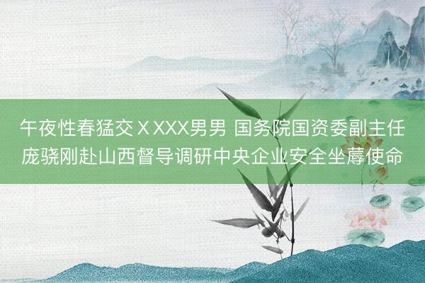 午夜性春猛交ⅩXXX男男 国务院国资委副主任庞骁刚赴山西督导调研中央企业安全坐蓐使命
