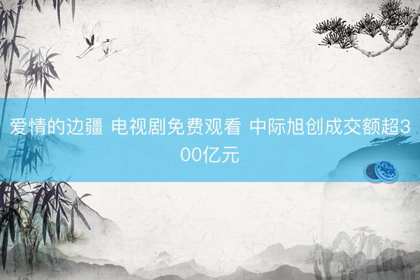 爱情的边疆 电视剧免费观看 中际旭创成交额超300亿元