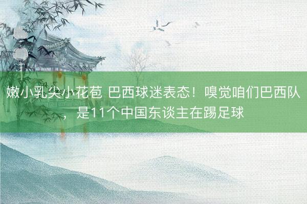 嫩小乳尖小花苞 巴西球迷表态！嗅觉咱们巴西队，是11个中国东谈主在踢足球