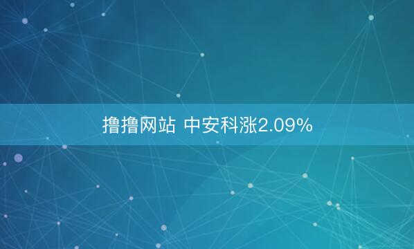 撸撸网站 中安科涨2.09%