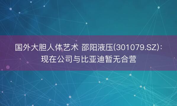 国外大胆人体艺术 邵阳液压(301079.SZ)：现在公司与比亚迪暂无合营