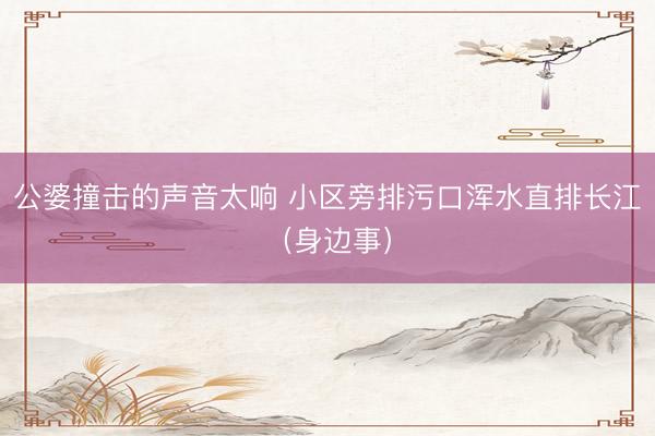 公婆撞击的声音太响 小区旁排污口浑水直排长江（身边事）