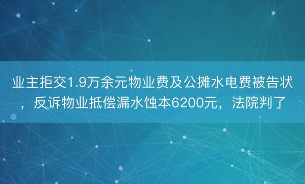 业主拒交1.9万余元物业费及公摊水电费被告状，反诉物业抵偿漏水蚀本6200元，法院判了