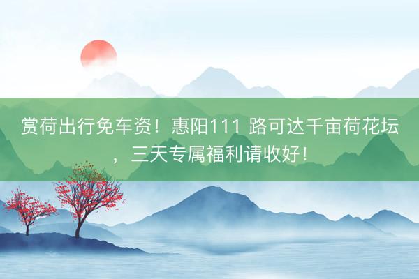 赏荷出行免车资！惠阳111 路可达千亩荷花坛，三天专属福利请收好！