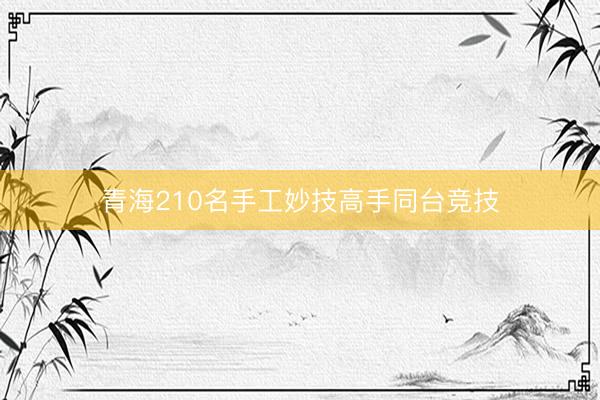 青海210名手工妙技高手同台竞技