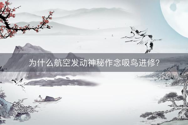 为什么航空发动神秘作念吸鸟进修？